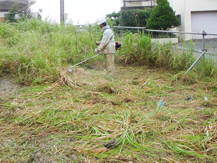 除草作業
