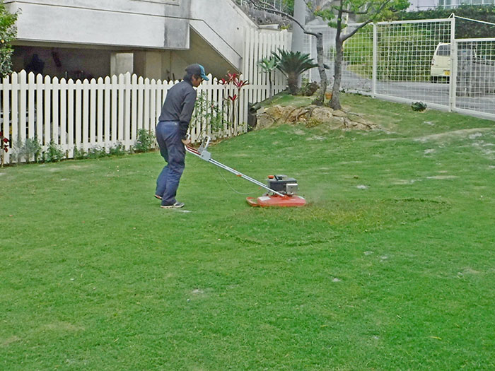 芝刈作業